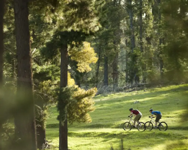 Wisata Gurun Munga-Thirri–Simpson Australia